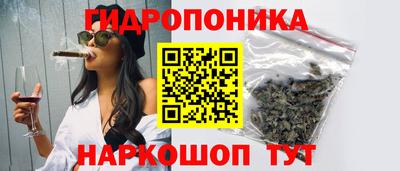 шишки Моздок