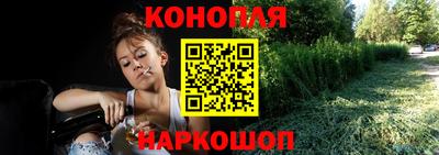 шишки Моздок