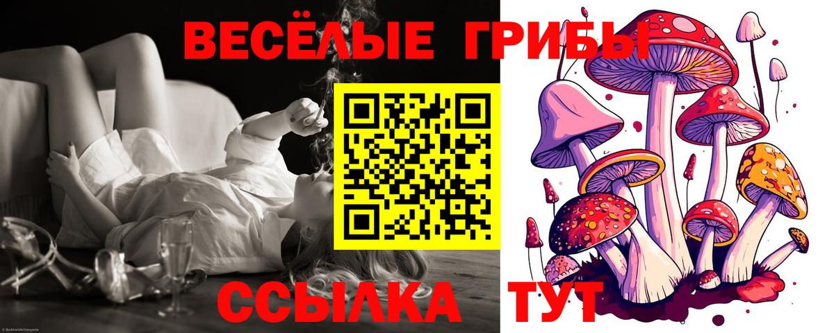 Галлюциногенные грибы Psilocybe  Вход с VPN  Владивосток  Галлюциногенные грибы Cubensis 