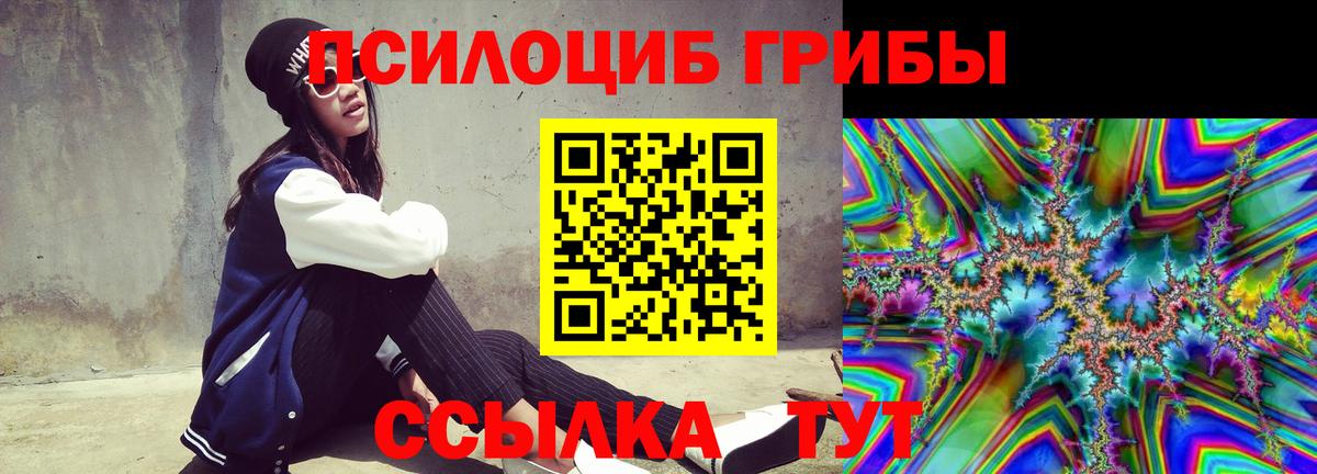 Галлюциногенные грибы Cubensis Владивосток