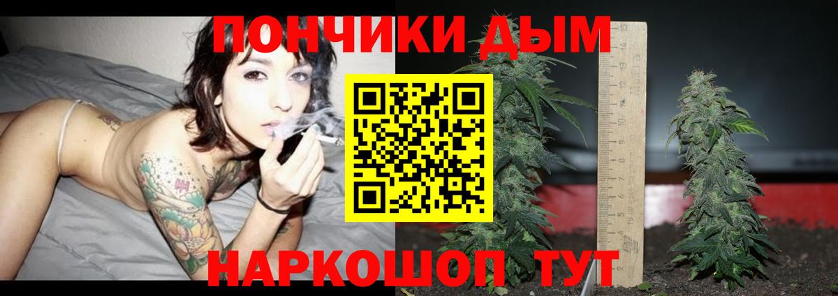 МАРИХУАНА семена  Каннабис MAZAR  Владивосток  Марихуана планчик  Вход с VPN 